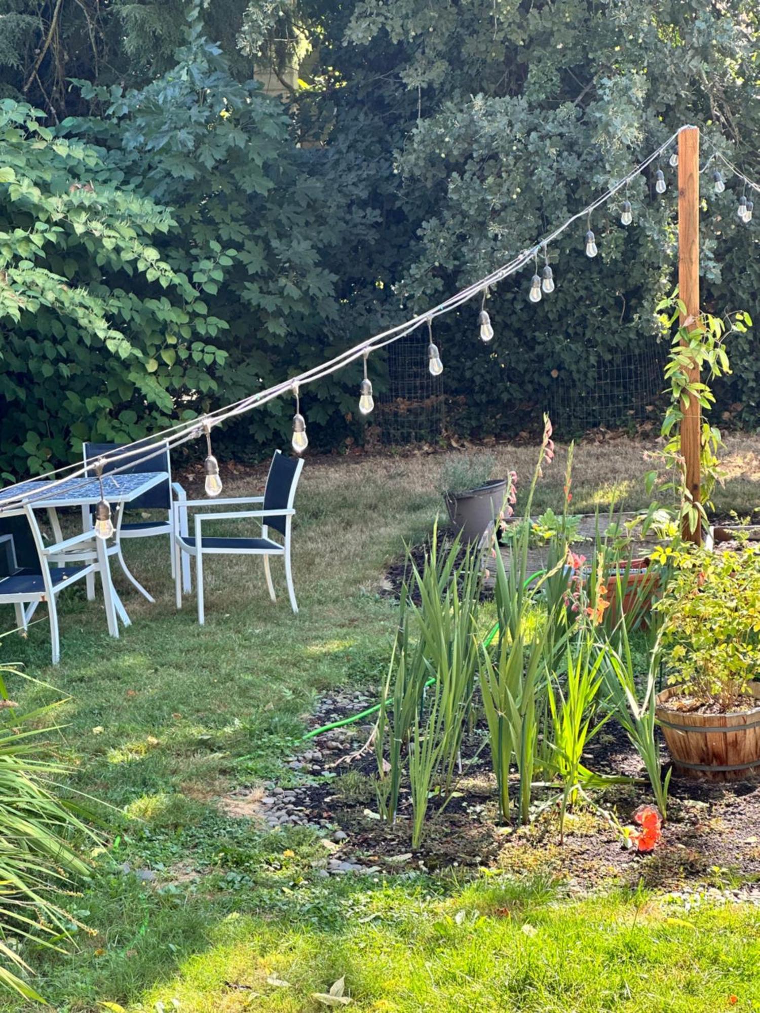 Mr. Mcgregor'S Garden Διαμέρισμα Σάλεμ Εξωτερικό φωτογραφία